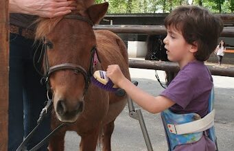 Activités et éveil