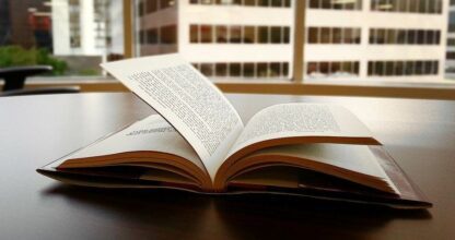 Témoignage – Jeanne Bellevin