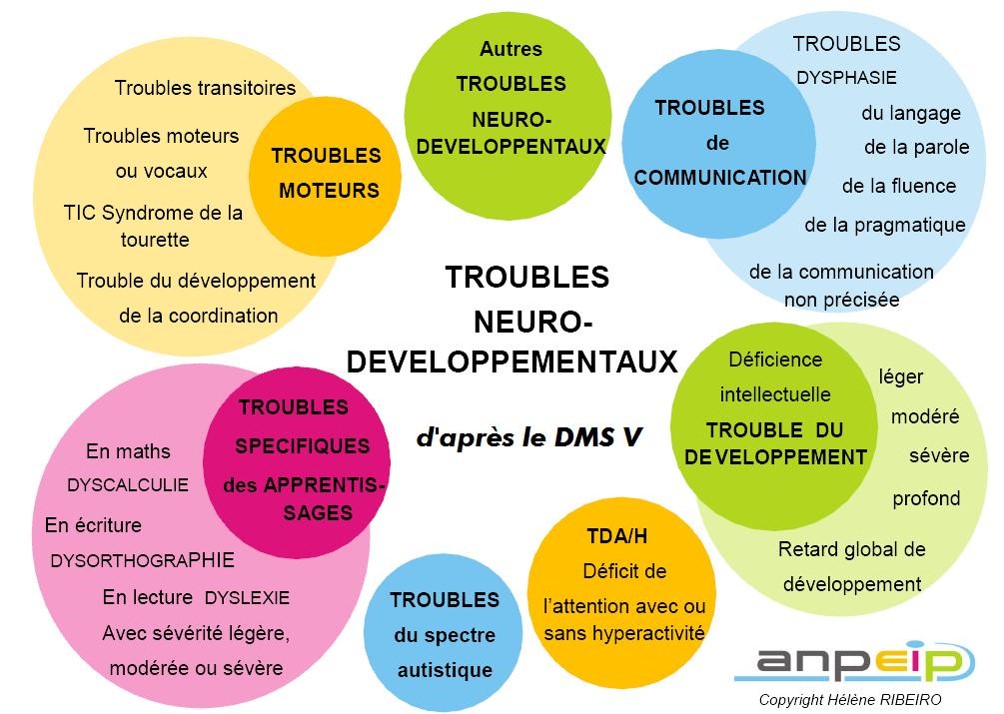 schémas troubles du neurodéveloppement