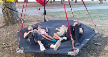 Grimper dans les arbres : une expérience pas comme les autres pour les jeunes du SESSAD de l’Orangerie !